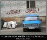 Denis Roshchin фотография #29 (источник - https://vk.com/id3505478)