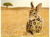 Сергій Щирба фотография #34 (источник - https://vk.com/id42698178)