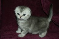 Оля Беделева фотография #33 (источник - https://vk.com/id419494)