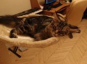 Фотография Тумановой Марии