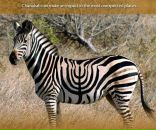 Анна Иванова фотография #5 (источник - https://vk.com/id1097789)