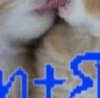 Юлия Лоік фотография #19 (источник - https://vk.com/id144286088)
