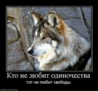 Фотография Соломанидина Анна