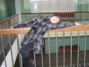 Ілона Петрук фотография #18 (источник - https://vk.com/id48177873)
