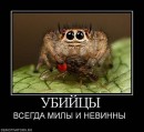 False Mirror фотография #13 (источник - https://vk.com/id64951534)