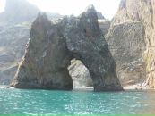 Ольга Валуева фотография #42 (источник - https://vk.com/id74727458)