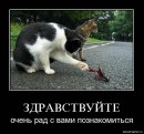 Nаталія Nаталія фотография #15 (источник - https://vk.com/id54485185)