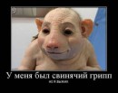 Nаталія Nаталія фотография #27 (источник - https://vk.com/id54485185)