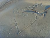 Фотография Розум Розум