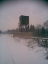 Мак Мак фотография #37 (источник - https://vk.com/id30434165)