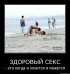  фотография #38
