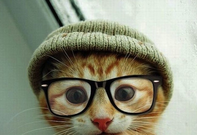 Дмитрий Куренков фотография #12