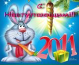 Фотография Tarabychina Nadezda