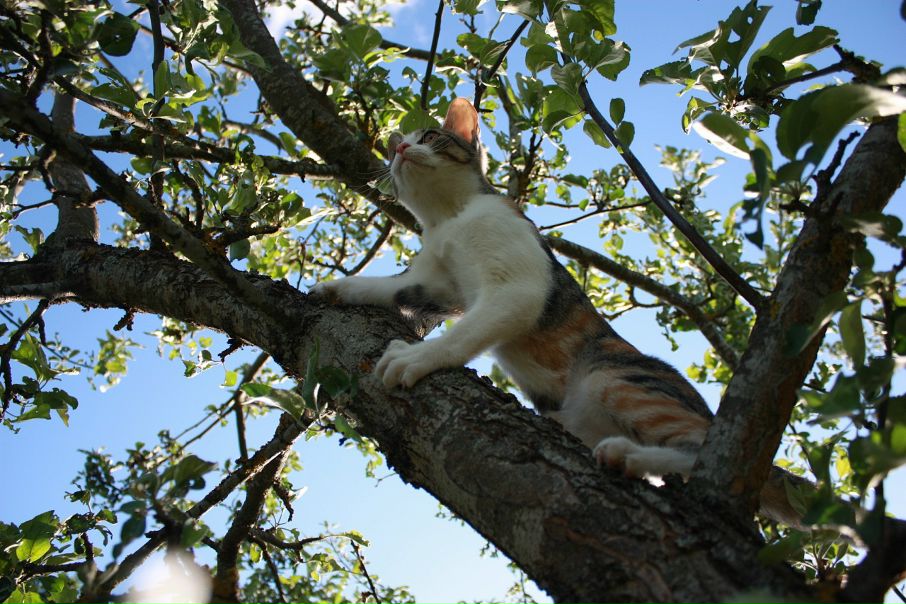 №18, Tatiana Nikolaeva, Санкт-Петербург №18, Tatiana Nikolaeva, Санкт-Петербург