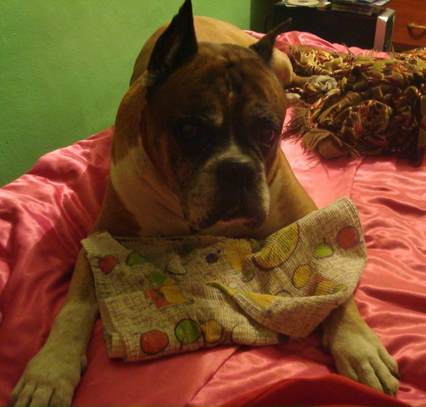 Аскер Аскеров фотография #31