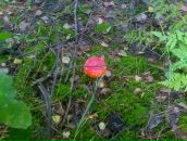 Евгений Кабин фотография #21 (источник - https://vk.com/id6736668)