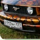 Міша Фурманчук фотография #26 (источник - https://vk.com/id107293401)