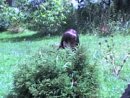 Соломія Ощіпко фотография #13 (источник - https://vk.com/id37148804)