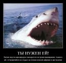 Фотография Олег Ильичев