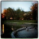 Виктор B фотография #30 (источник - https://vk.com/id1739100)