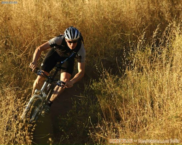 Wads Wolf фото №8