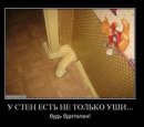 Костянтин Огороднік фотография #35 (источник - https://vk.com/id11103382)
