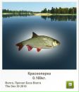 Іван Гнідець фотография #18 (источник - https://vk.com/id113923451)