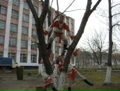 Фотография  