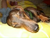 Віталій Папіж фотография #46 (источник - https://vk.com/id25237547)