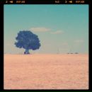 Игорь Хохлов фотография #6 (источник - https://vk.com/id512608)