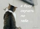 Еріка ******* фотография #7 (источник - https://vk.com/id147889567)