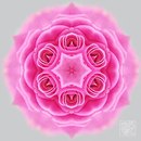 Фотография Несокрушимой Ольги