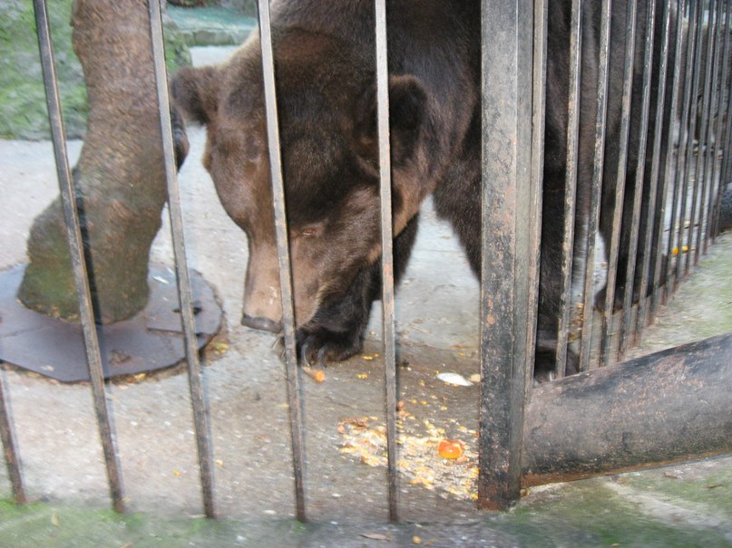 Коля Приходько фотография #7