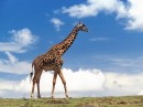 Фотография Пятовской Людмилы