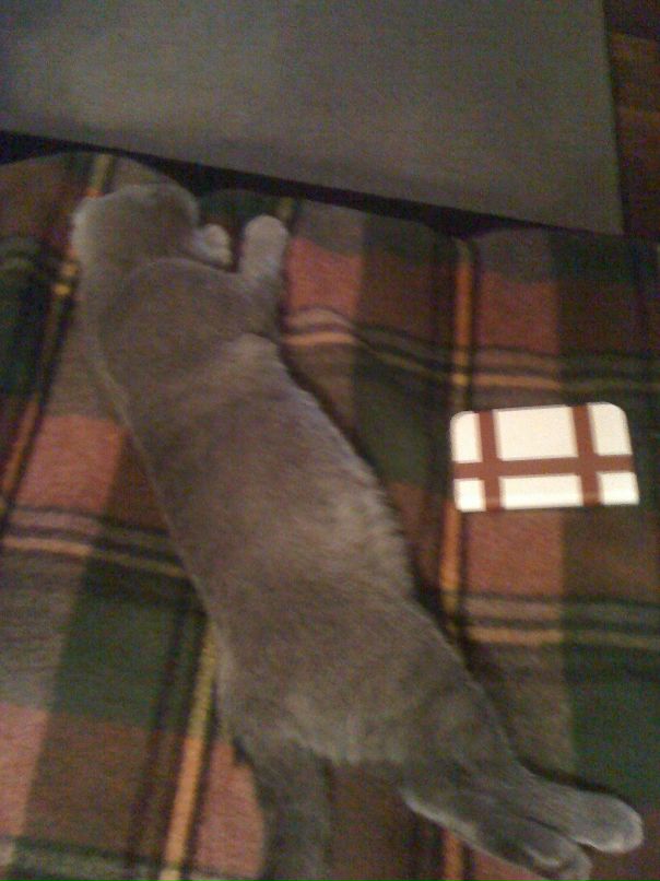 Евгений Упитер фотография #32