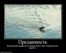 Ірчик Сонечко фотография #33 (источник - https://vk.com/id100171509)