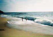 Фотография Ревина Дмитрия