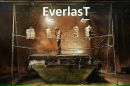 [psilocybe] Everlast фотография #17 (источник - https://vk.com/id142308222)