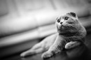 Фотография Мичкутина Артура