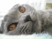 Фотография Новиковой Эвелины