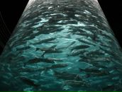 Дмитрий Мельников фотография #2 (источник - https://vk.com/id14431313)