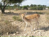 Фотография Юлии Юлии