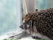 Эля Гильмутдинова фотография #9 (источник - https://vk.com/id317802)