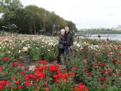 Фотография Шестериков Евгений