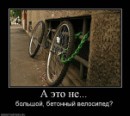Дмитрий Бондарь фотография #45 (источник - https://vk.com/id2666436)