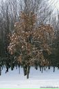 Олег Скуйбіда фотография #47 (источник - https://vk.com/id41536667)