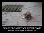 Николай Бердников фотография #45 (источник - https://vk.com/id1941204)