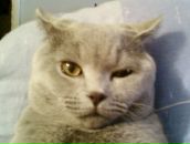 Игорь Игорь фотография #1