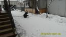 Марія Попадинець фотография #27 (источник - https://vk.com/id83578225)