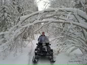 Антон Волков фотография #4 (источник - https://vk.com/id1807433)